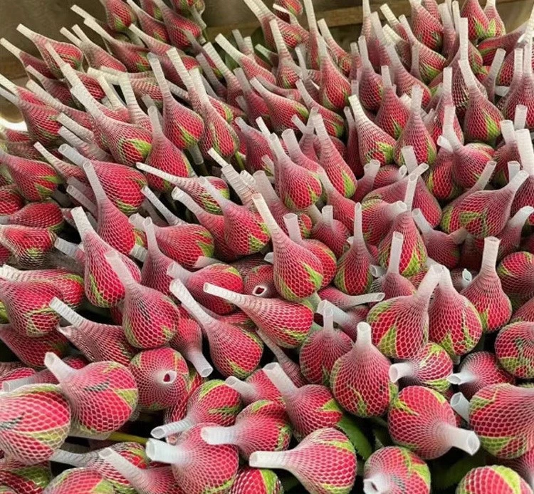 1 1
